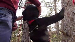 Tied to a tree on a sexy outfit, masked and outdoor deepthroat with no mercy Thumb